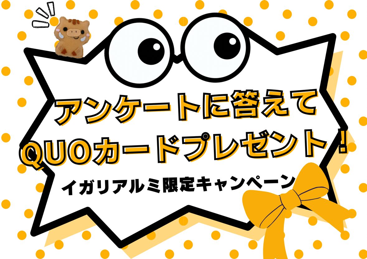 イガリアルミ限定キャンペーン