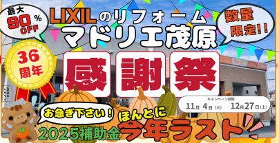 🐗【１１月４日】新聞折込チラシのご紹介（緑区あすみが丘、茂原市、白子、長南町）🐗